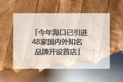 今年海口已引进48家国内外知名品牌开设首店