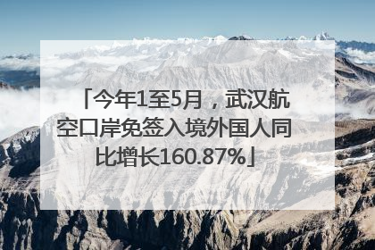 今年1至5月，武汉航空口岸免签入境外国人同比增长160.87%