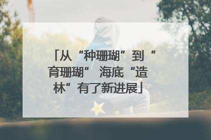 从“种珊瑚”到“育珊瑚” 海底“造林”有了新进展
