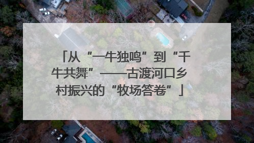 从“一牛独鸣”到“千牛共舞”——古渡河口乡村振兴的“牧场答卷”