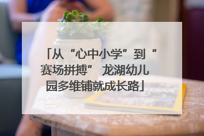 从“心中小学”到“赛场拼搏” 龙湖幼儿园多维铺就成长路