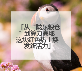 从“陇东粮仓”到算力高地 这块红色热土焕发新活力