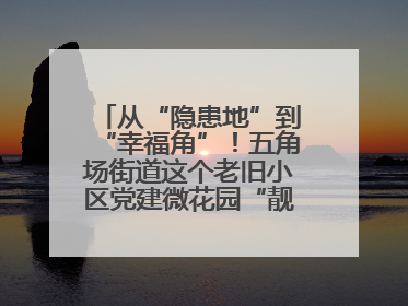 从“隐患地”到“幸福角”！五角场街道这个老旧小区党建微花园“靓”出幸福新图景