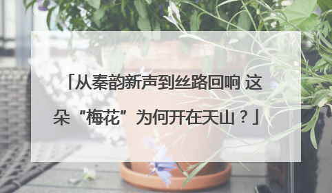 从秦韵新声到丝路回响 这朵“梅花”为何开在天山？