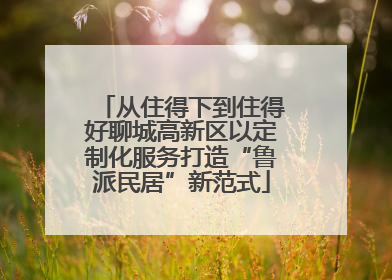 从住得下到住得好聊城高新区以定制化服务打造“鲁派民居”新范式