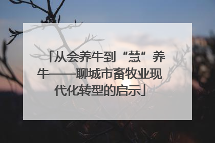 从会养牛到“慧”养牛——聊城市畜牧业现代化转型的启示