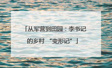 从军营到田园：李书记的乡村 “变形记”