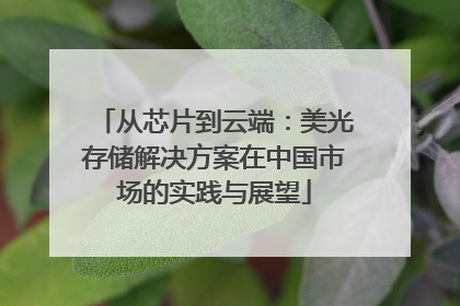 从芯片到云端：美光存储解决方案在中国市场的实践与展望