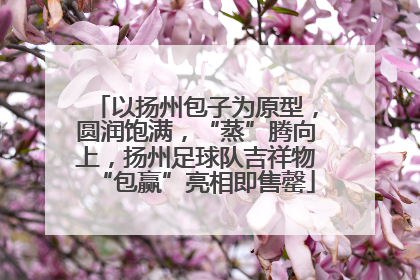 以扬州包子为原型，圆润饱满，“蒸”腾向上，扬州足球队吉祥物“包赢”亮相即售罄