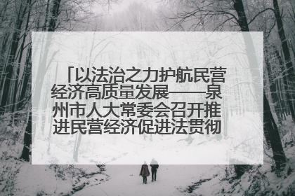 以法治之力护航民营经济高质量发展——泉州市人大常委会召开推进民营经济促进法贯彻实施座谈会