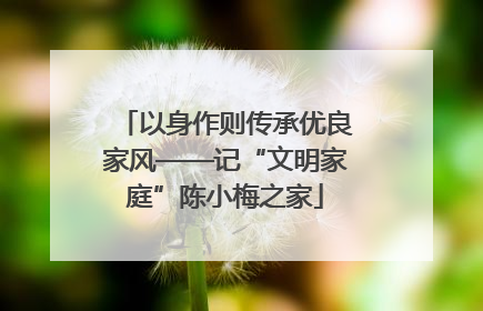 以身作则传承优良家风——记“文明家庭”陈小梅之家