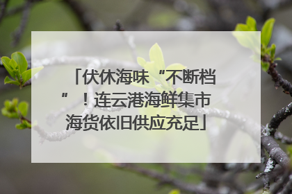 伏休海味“不断档”！连云港海鲜集市海货依旧供应充足