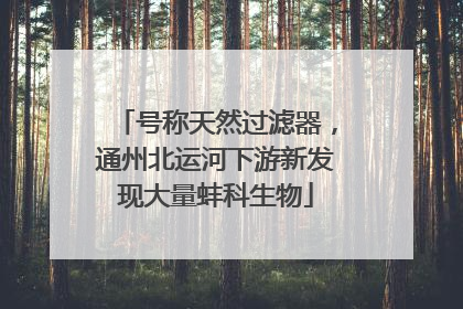 号称天然过滤器，通州北运河下游新发现大量蚌科生物