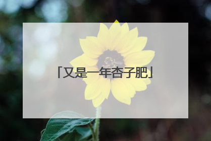 又是一年杏子肥