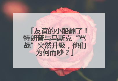 友谊的小船翻了！特朗普与马斯克“骂战”突然升级，他们为何而吵？