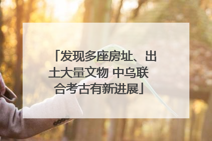 发现多座房址、出土大量文物 中乌联合考古有新进展