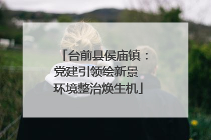 台前县侯庙镇：党建引领绘新景 环境整治焕生机