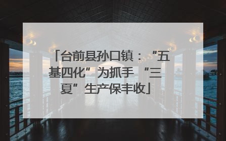 台前县孙口镇：“五基四化”为抓手 “三夏”生产保丰收