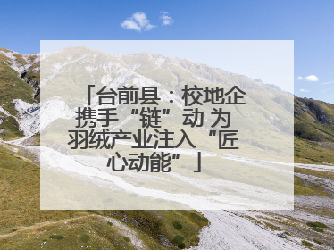 台前县：校地企携手“链”动 为羽绒产业注入“匠心动能”