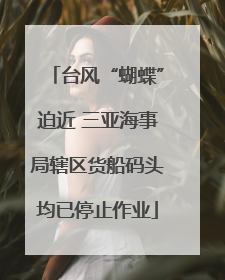 台风“蝴蝶”迫近 三亚海事局辖区货船码头均已停止作业