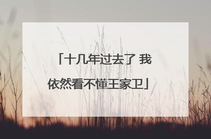 十几年过去了 我依然看不懂王家卫