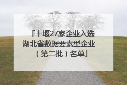 十堰27家企业入选湖北省数据要素型企业（第二批）名单