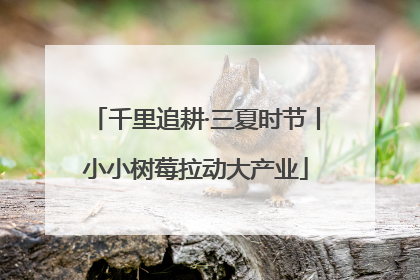 千里追耕·三夏时节丨小小树莓拉动大产业