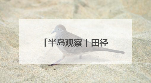 半岛观察丨田径名将云集！青岛办赛掀起田径热