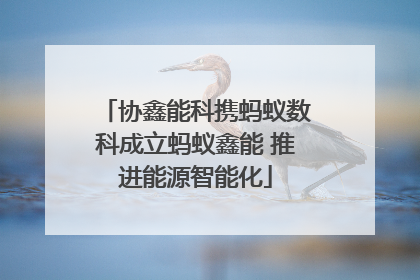 协鑫能科携蚂蚁数科成立蚂蚁鑫能 推进能源智能化