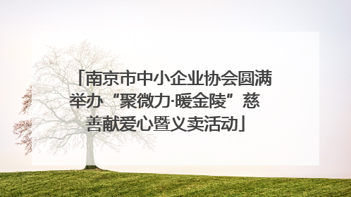南京市中小企业协会圆满举办“聚微力·暖金陵”慈善献爱心暨义卖活动