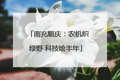 南充顺庆：农机织绿野 科技绘丰年
