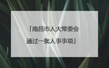 南昌市人大常委会通过一批人事事项