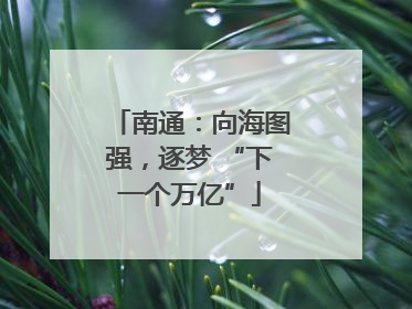 南通：向海图强，逐梦 “下一个万亿”