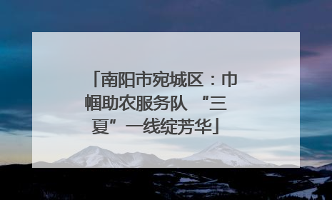 南阳市宛城区：巾帼助农服务队 “三夏”一线绽芳华