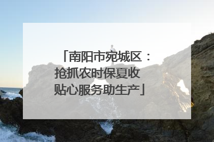 南阳市宛城区：抢抓农时保夏收 贴心服务助生产