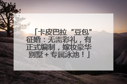 卡皮巴拉“豆包”征婚：无需彩礼，有正式编制，嫁妆豪华别墅＋专属泳池！