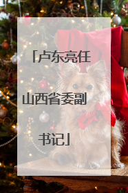 卢东亮任山西省委副书记
