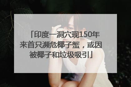 印度一洞穴现150年来首只濒危椰子蟹，或因被椰子和垃圾吸引