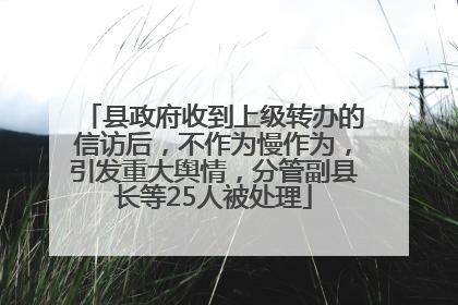 县政府收到上级转办的信访后，不作为慢作为，引发重大舆情，分管副县长等25人被处理