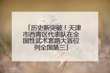 历史新突破！天津市西青区代表队在全国性武术套路大赛位列全国第三