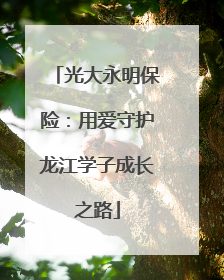 光大永明保险：用爱守护龙江学子成长之路