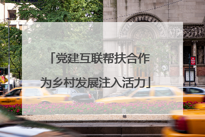党建互联帮扶合作 为乡村发展注入活力
