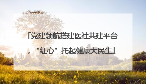 党建领航搭建医社共建平台，“红心”托起健康大民生