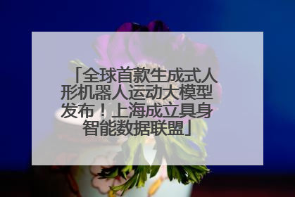 全球首款生成式人形机器人运动大模型发布！上海成立具身智能数据联盟