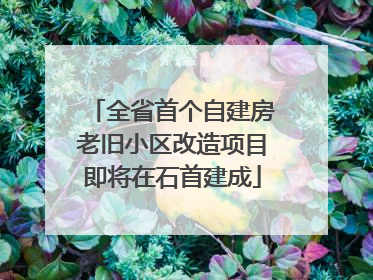 全省首个自建房老旧小区改造项目即将在石首建成