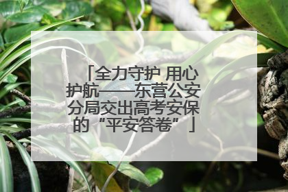 全力守护 用心护航——东营公安分局交出高考安保的“平安答卷”