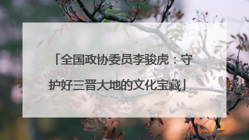 全国政协委员李骏虎：守护好三晋大地的文化宝藏