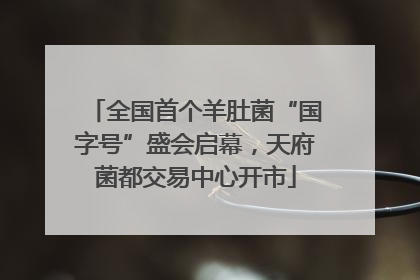 全国首个羊肚菌“国字号”盛会启幕，天府菌都交易中心开市