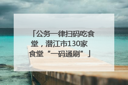 公务一律扫码吃食堂，潜江市130家食堂“一码通刷”