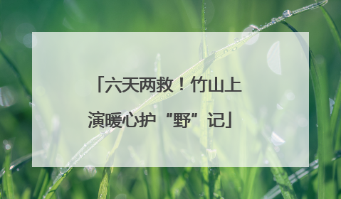 六天两救！竹山上演暖心护“野”记